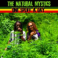 One Spliff a Day by The Natural Mystics