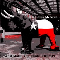 What Makes You Think? (TRUMP) mp3 by John McGrail