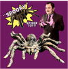 "Spooky" Spider Toy