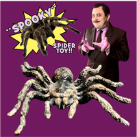 "Spooky" Spider Toy