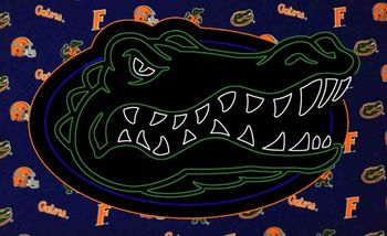 Florida Gators with Background Fabric
