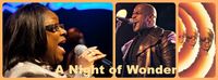 A NIGHT OF WONDER – THE MUSIC OF STEVIE WONDER