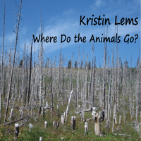 Where Do the Animals Go by Kristin Lems