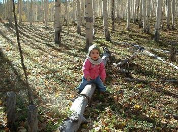 hazel log-sitting
