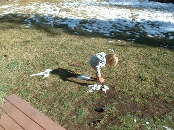 barefoot leadville boy
