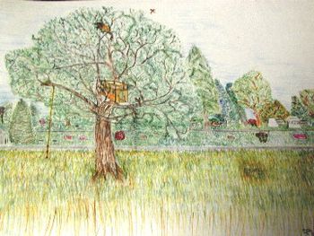 Seventh Treehouse
