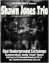 Shawn Jones Trio at The Underground Exchange!