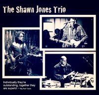 Shawn Jones Trio at Iva Lees!