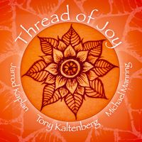 Thread of Joy by Tony Kaltenberg