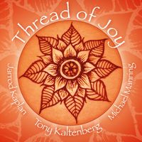 THREAD OF JOY by Tony Kaltenberg, Michael Manring, Jarrod Kaplan