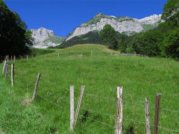 Col de la Foclaz - France
