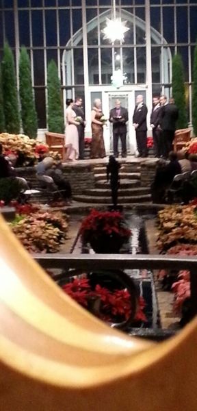 Christmas Eve Wedding party framed in Reuben's harp's harmonic curve
