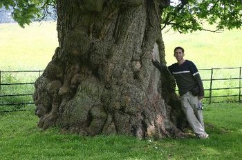 Brian in Wales
