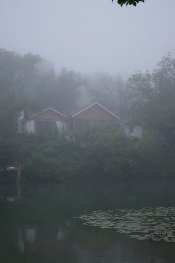 my house on the Finley River
