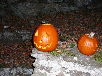 Pumpkin carving for the kids!
