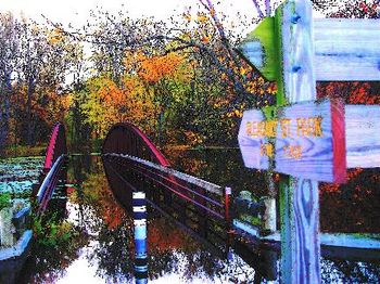 Psychedelic Bridge
