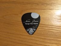 Through Train Windows Custom Guitar Pick