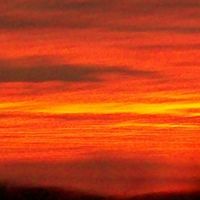 Too Hot To Handle by Gene Travis