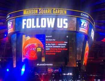 On the screen at Madison Square Garden!
