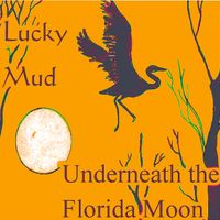 Underneath the Florida Moon by luckymudmusic.com