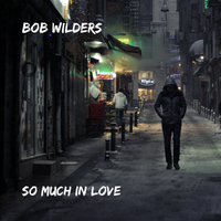 So Much In Love by Bob Wilders