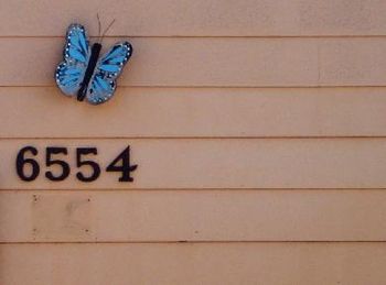 Giant Metal Butterflies #3, High Plains USA
