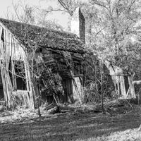 East Texas Son by Amy Annelle