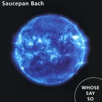 Whose say so by Saucepan Bach