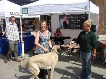 Dogs of all shapes and sizes where among the crowd
