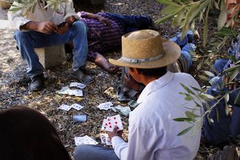 Noon-Break-Somewhere-in-Temecula-Wine-Country joel reese fine arts
