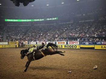 rodeo, las vegas
