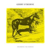 Swimming the Horses by Gerry O'Beirne