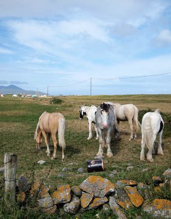 The Maharees, Co Kerry
