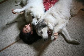 Sandra relaxing with two of her pet dogs
