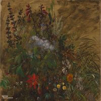 Spring by David Pedrick
