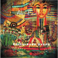 Calculated Steps by Akil Fadil