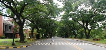 University of Phillipines crosswalk
