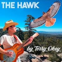 The Hawk by Terry Okey
