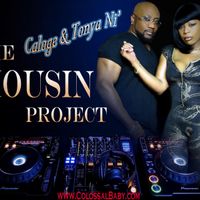 The Housin Project by Caloge & Tonya Ni