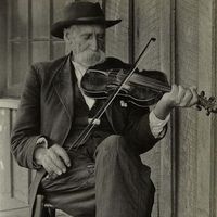 The Fiddle by Steve Smith
