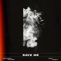 Save Me by Felipe Fraga
