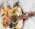 Introduction to the Guitar