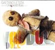 Voodoo Doll & Other Blues Lessons: CD