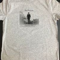 Big Picture T-Shirt (gray)
