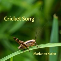 Cricket Song by Marianne Kesler