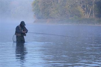 Grand River Ontario. Tying up. This was a magical morning.  My Friend Dave and I were driving around Lake Erie fishing in every steelhead stream with friends that I new along the way.
