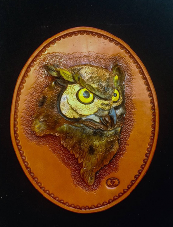 owl
