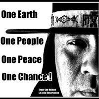 One Chance by tracyleenelson.com