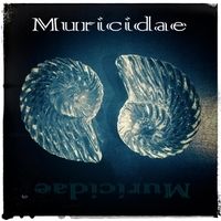 Sold My Soul by Muricidae