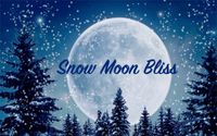 Snow Moon Winter Bliss